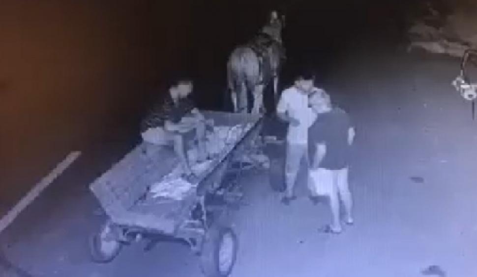 Momentul în care o căruţă este spulberată de o maşină în Botoşani. O persoană a fost rănită 724520