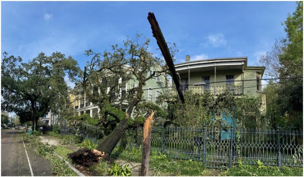 Un bărbat din New Orleans a dispărut după ce un aligator i-a mușcat brațul în timpul uraganului Ida 724631