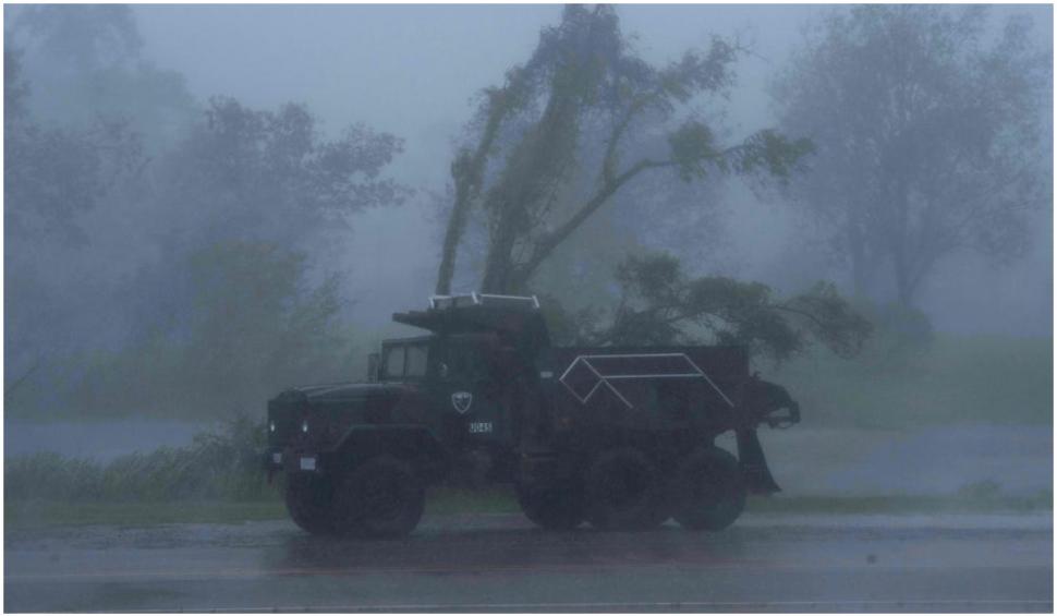 Un bărbat din New Orleans a dispărut după ce un aligator i-a mușcat brațul în timpul uraganului Ida 724636