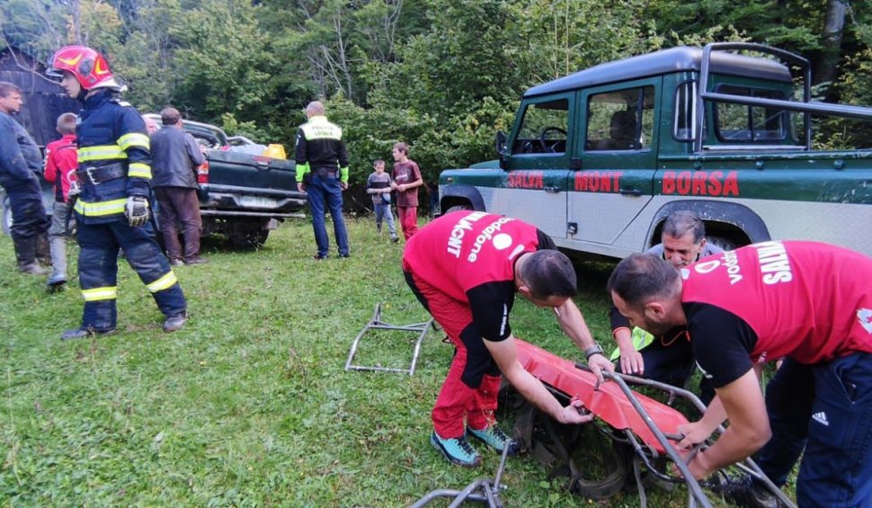 Un bărbat din Maramureş a murit, după ce un copac a căzut peste el