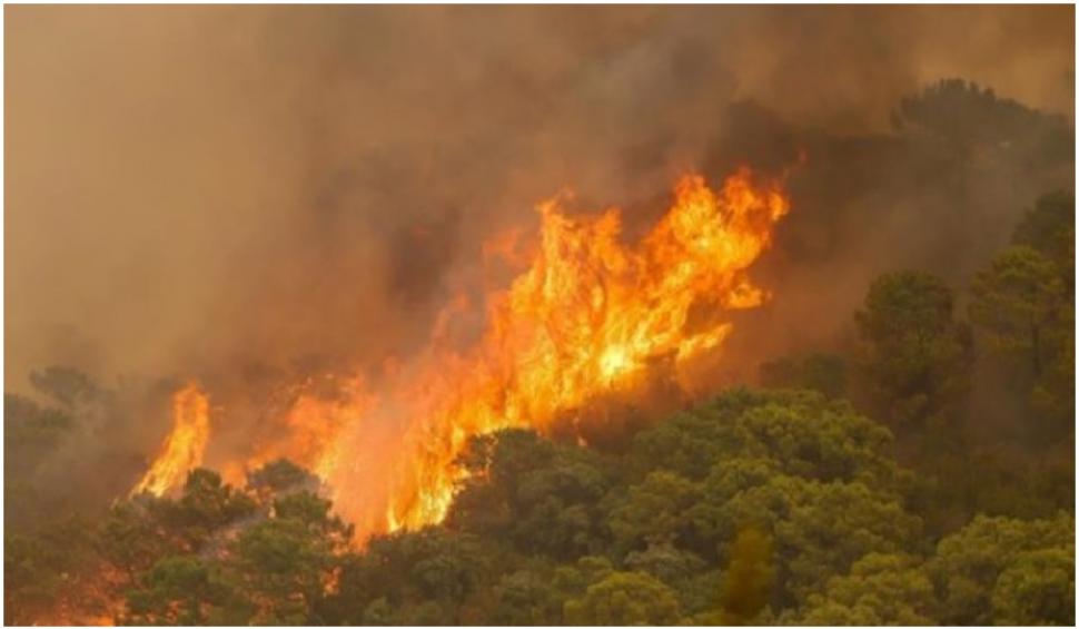 Incendiile fac ravagii în sudul Spaniei: 1 pompier a murit și 1.000 de oameni au fost evacuați 726261