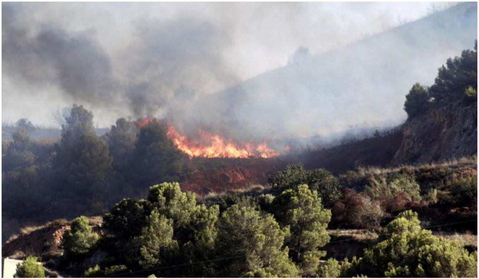 Incendiile fac ravagii în sudul Spaniei: 1 pompier a murit și 1.000 de oameni au fost evacuați 726265