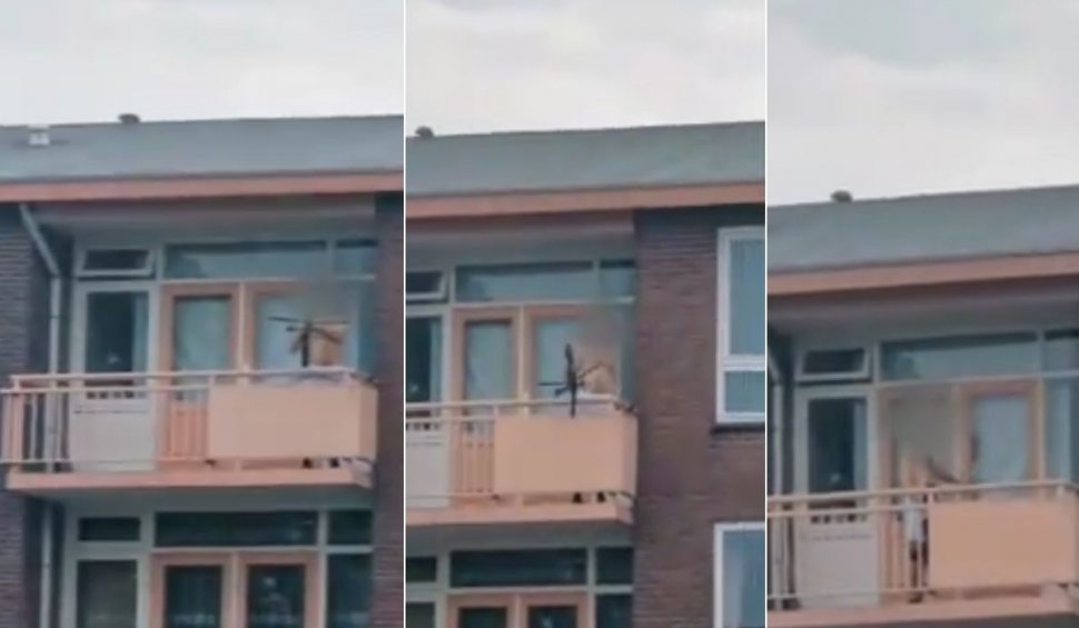Doi morți și un rănit, după ce un bărbat a tras cu arbaleta de la balcon într-un oraș din Olanda