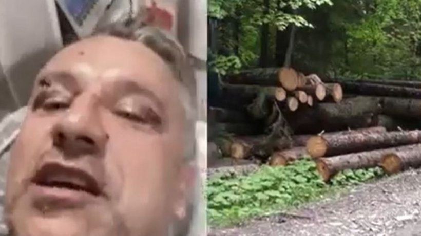 Garda Forestieră Suceava, mesaj halucinant după agresarea celor doi jurnaliști și a activistului de mediu: Nu au fost identificate nereguli și tăieri ilegale de arbori 