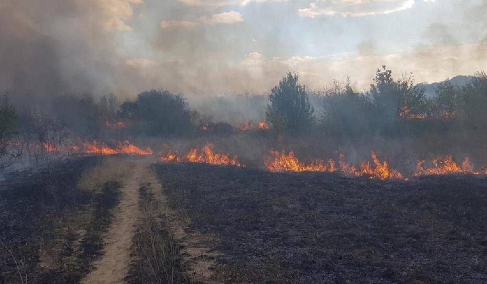 Incendiu de vegetaţie în Parcul Nicolae Romanescu din Craiova 727577