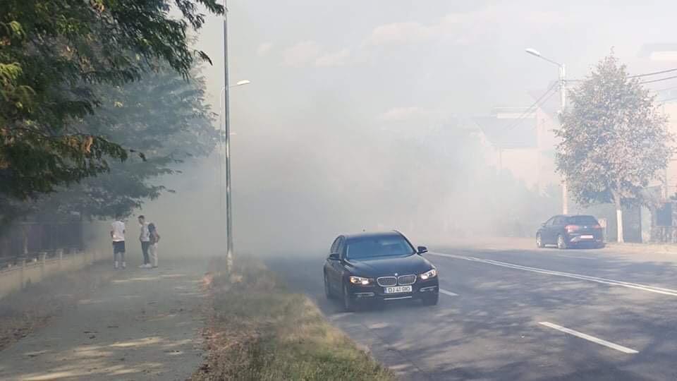 Incendiu de vegetaţie în Parcul Nicolae Romanescu din Craiova 727580