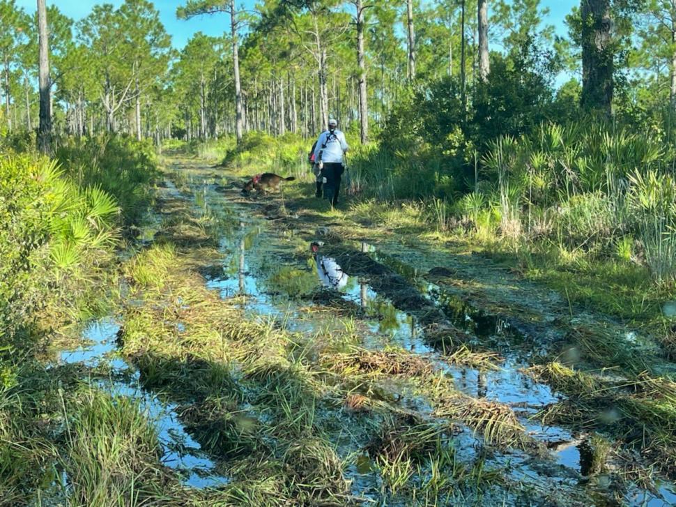 Cazul Gabby Petito. Rămășițe omenești care corespund tinerei dispărute au fost găsite de poliția americană 727611