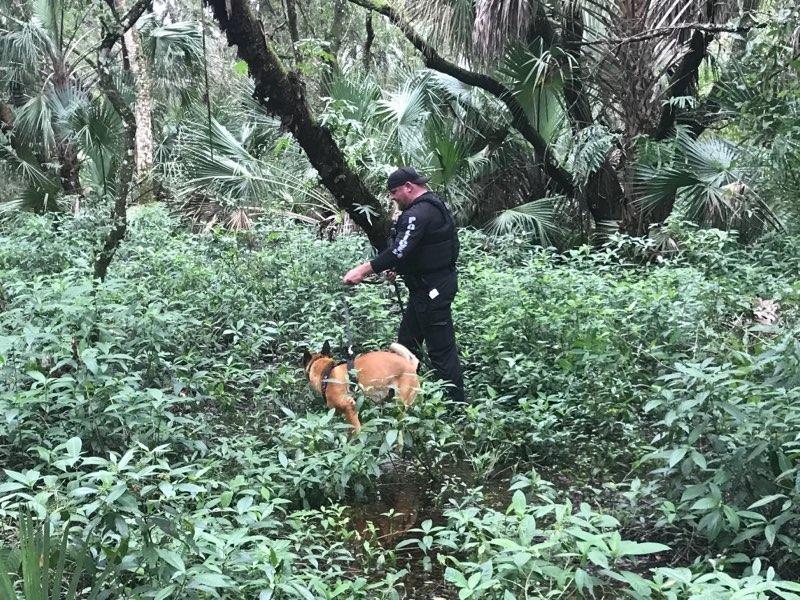 Cazul Gabby Petito. Rămășițe omenești care corespund tinerei dispărute au fost găsite de poliția americană 727613