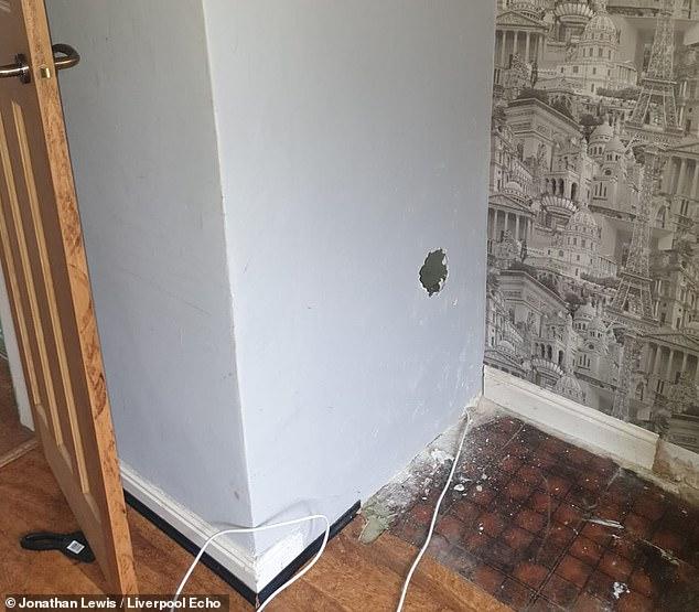 Descoperirea sinistră făcută de un profesor britanic sub zidul fals din noua sa casă. "Nu mi-au plăcut și i-am făcut să dispară!" 727699