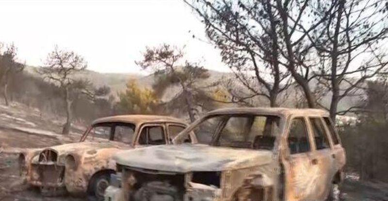 Incendiile de vegetație au reizbucnit în apropiere de Atena. Există suspiciuni că focul a fost pus intenționat 727826