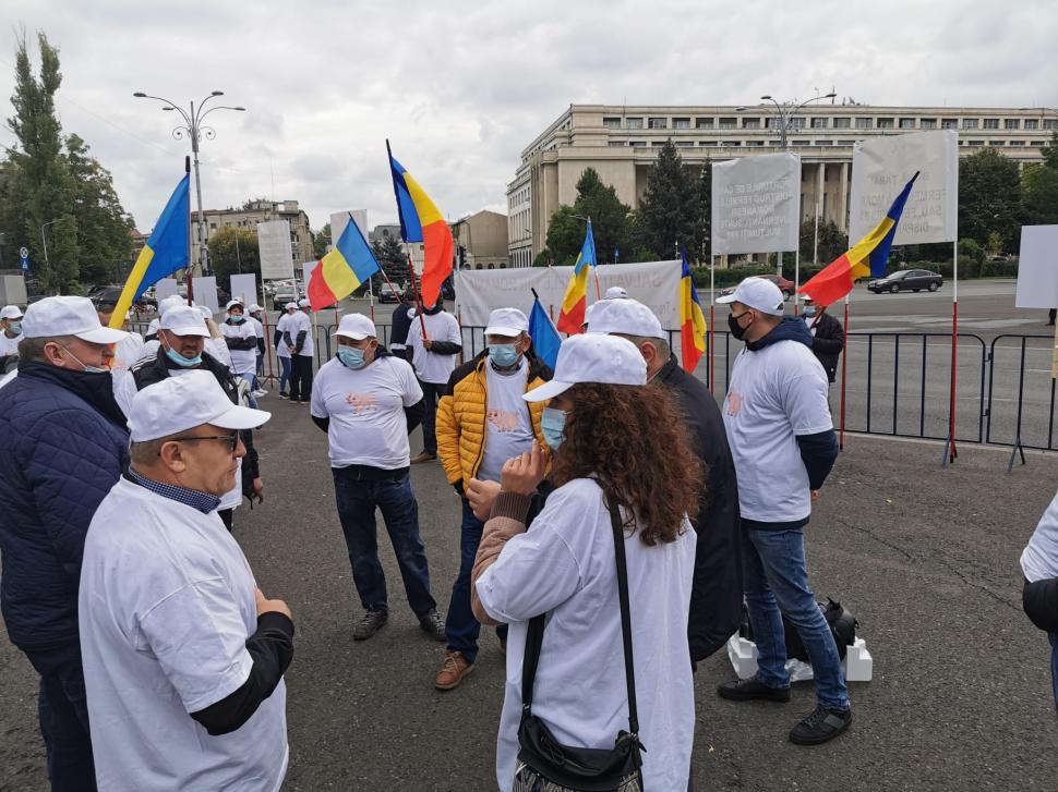 Avertismentul fermierilor: Porcul românesc, pe cale de dispariție din cauza pestei porcine 727887