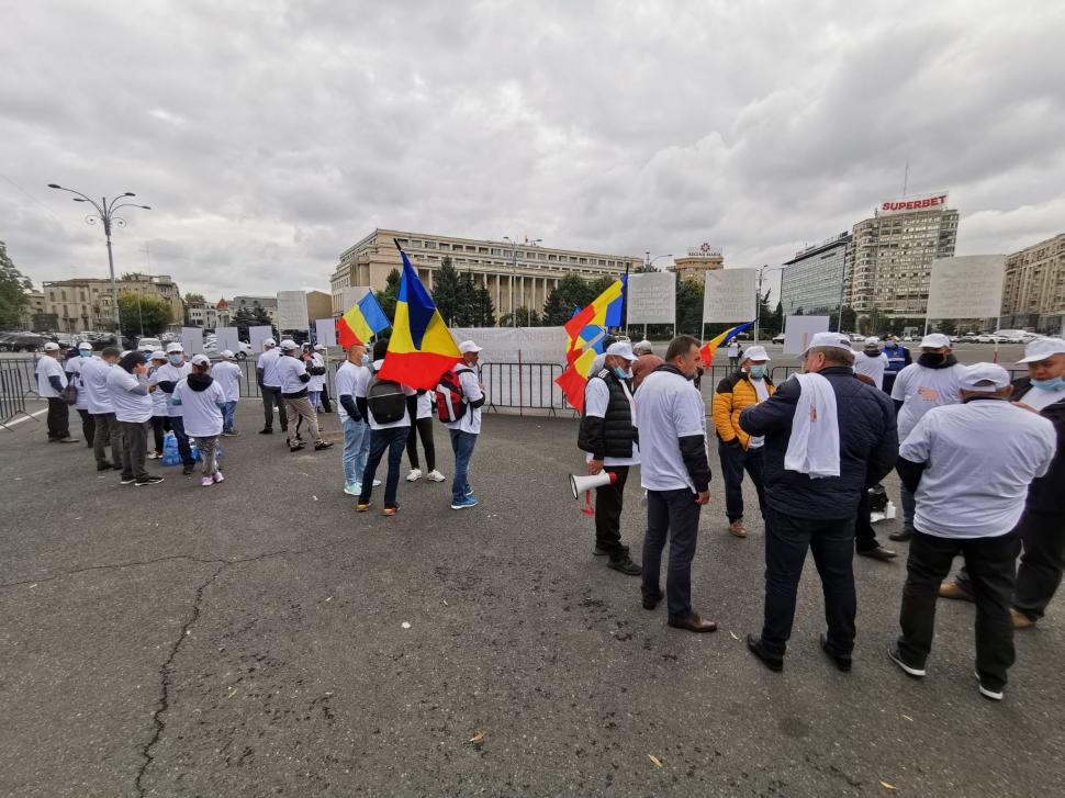 Avertismentul fermierilor: Porcul românesc, pe cale de dispariție din cauza pestei porcine 727888