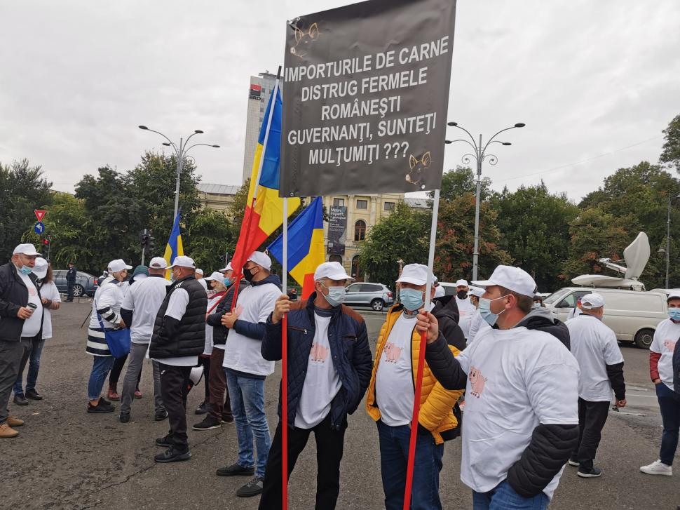 Avertismentul fermierilor: Porcul românesc, pe cale de dispariție din cauza pestei porcine 727889