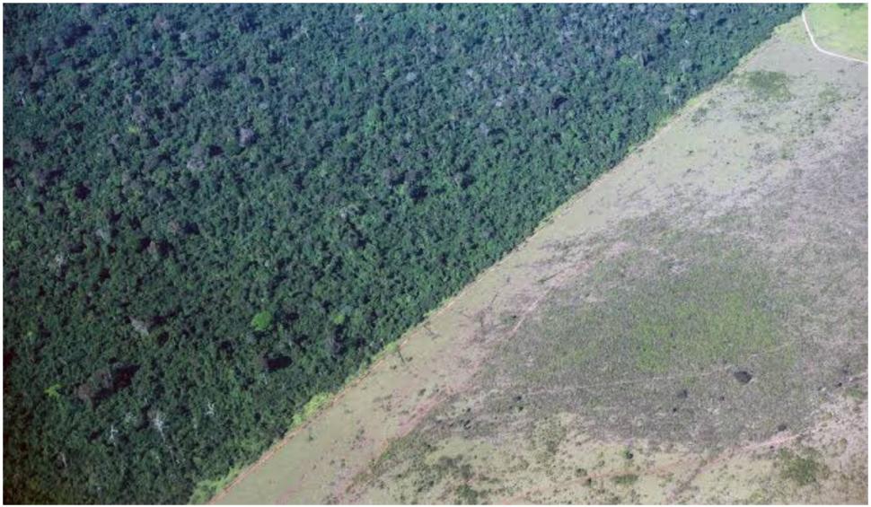 Președintele nevaccinat al Braziliei a spus în fața Adunării Generale a ONU că vrea să lupte împotriva COVID-19 727946