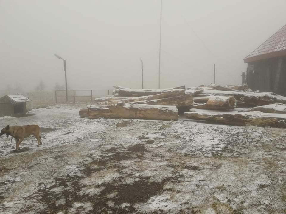 Iarna domneşte pe crestele munţilor! Zăpada s-a aşternut în mai multe zone din ţară  728170