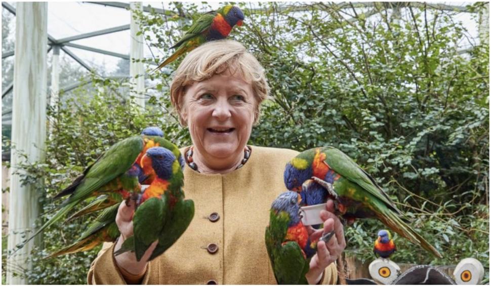 Angela Merkel a fost ”atacată” în timp ce hrănea păsările în parc 728479