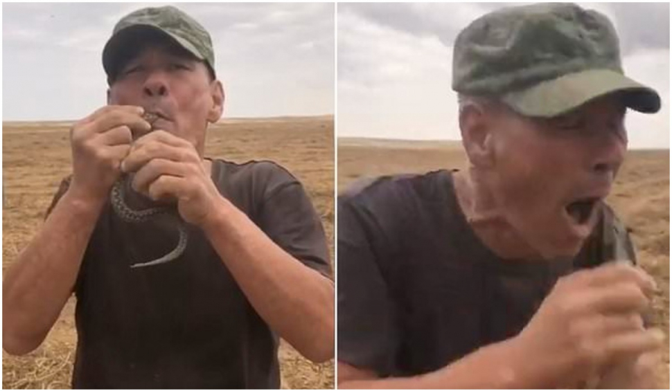 Un bărbat din Rusia a murit după ce și-a băgat o viperă în gură și aceasta l-a mușcat de limbă