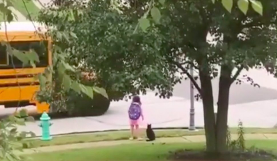 Prietenia dintre o fetiță și pisica ei, virală pe internet. Felina își conduce în fiecare zi stăpâna la autobuzul școlar