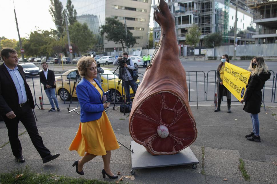 Congres PNL septembrie 2021. Protest al comunității Declic, cu un ciolan de doi metri 728515