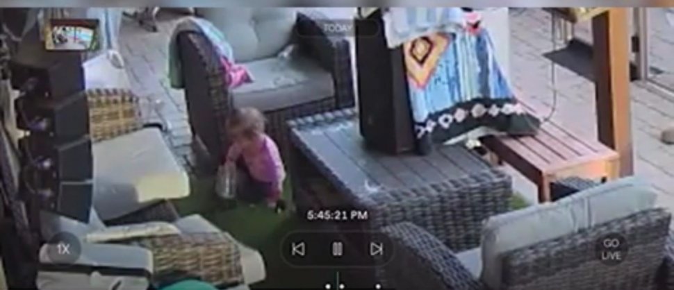Un tată a fost șocat să descopere că fiica lui de 18 luni se juca cu o tarantulă
