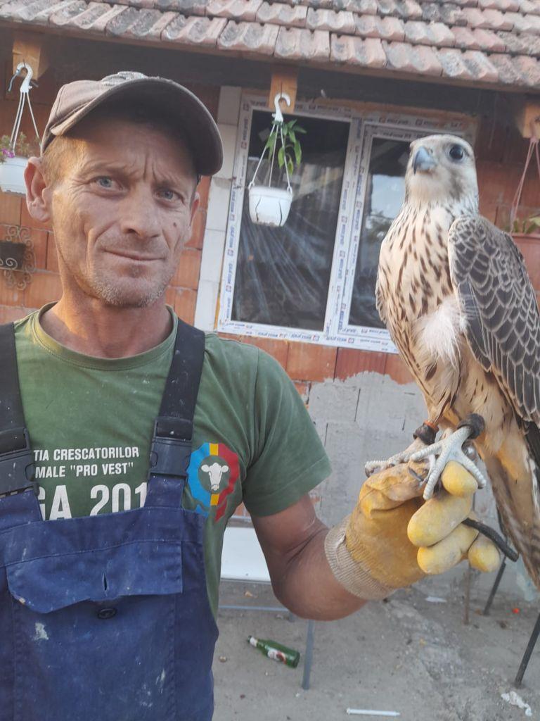 Apariție surprinzătoare în curtea unui arădean. Costă peste 20.000 de euro  728845