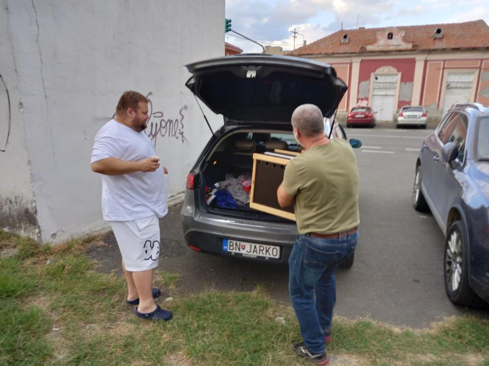 Apariție surprinzătoare în curtea unui arădean. Costă peste 20.000 de euro  728847