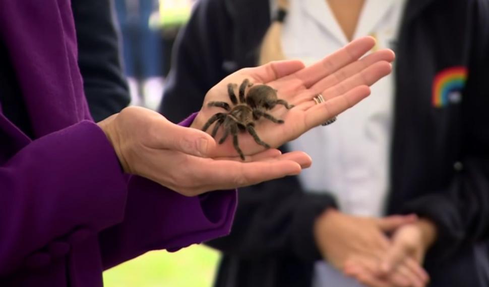 Ducele și ducesa de Cambridge, cu o tarantulă și un șarpe în mână, în Irlanda de Nord 729304