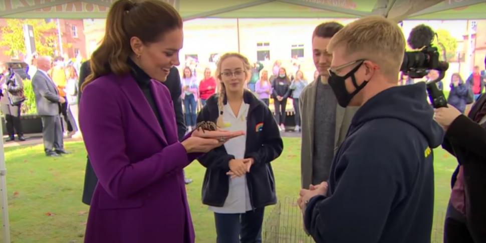 Ducele și ducesa de Cambridge, cu o tarantulă și un șarpe în mână, în Irlanda de Nord 729305