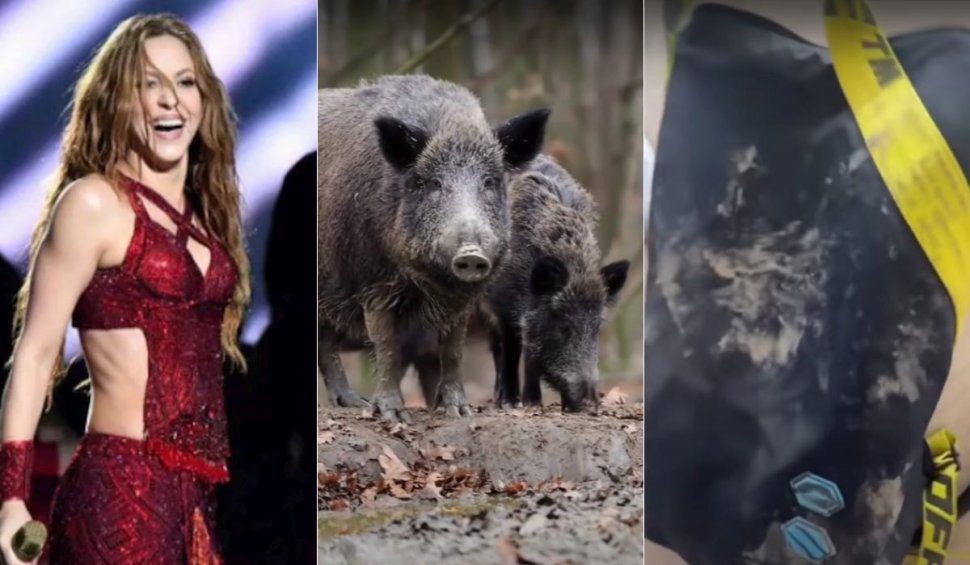 Shakira, atacată de doi porci în Barcelona. Vedeta și-a spus versiunea sa pe rețelele sociale