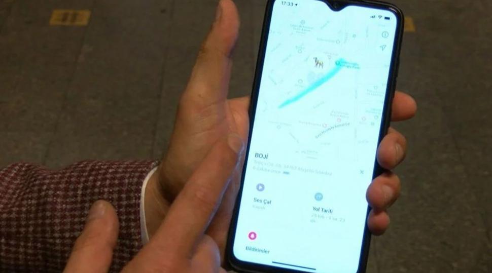 Câinele care ia zilnic metroul și dă prioritate la coborâre, în Istanbul 729864