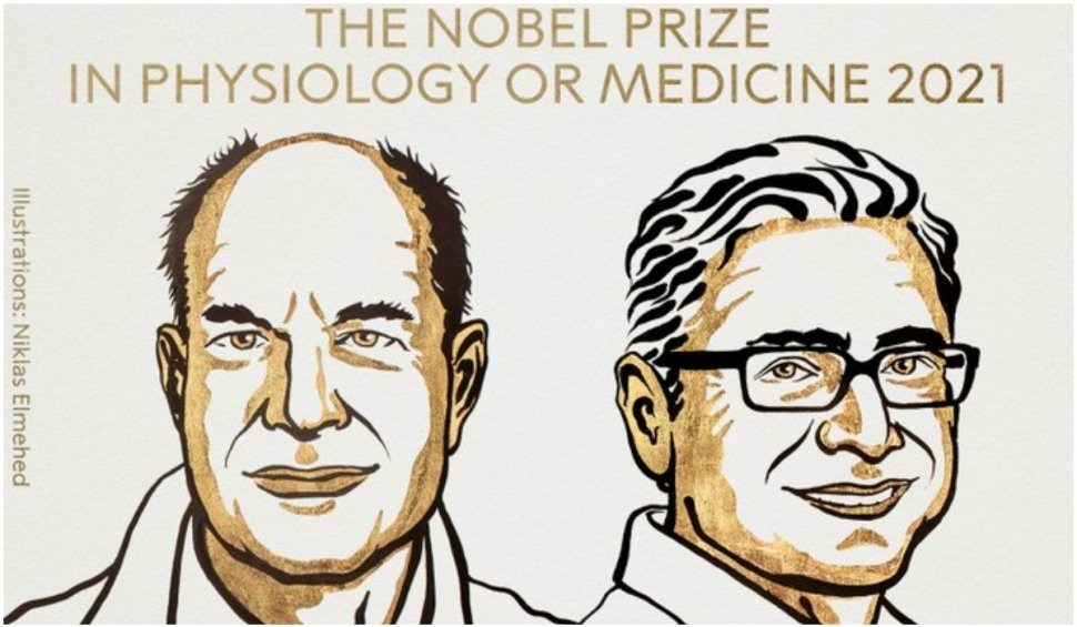 Premiul Nobel pentru Medicină din 2021 a fost acordat cercetătorilor David Julius şi Ardem Patapoutian