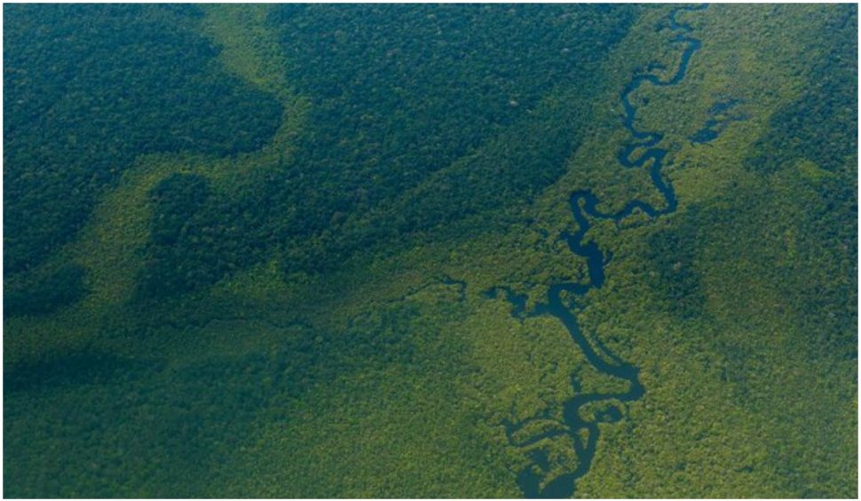Facebook interzice vânzarea terenurilor protejate din pădurea amazoniană pe Marketplace