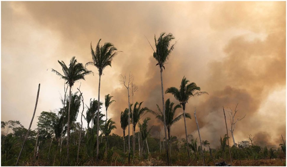 Incendiile ilegale fac scrum Pădurea Amazoniană. Flăcările sunt atât de puternice încât și pământul este carbonizat