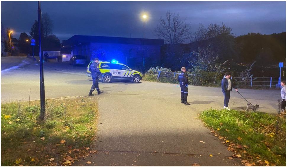 Mai multe persoane au fost ucise în urma unui atac cu arcul în Norvegia 731387