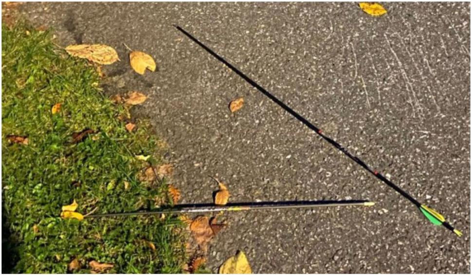 Mai multe persoane au fost ucise în urma unui atac cu arcul în Norvegia 731390