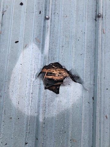 Un mesager extraterestru a speriat de moarte o femeie care dormea liniștită în patul său, într-un oraș canadian 731563