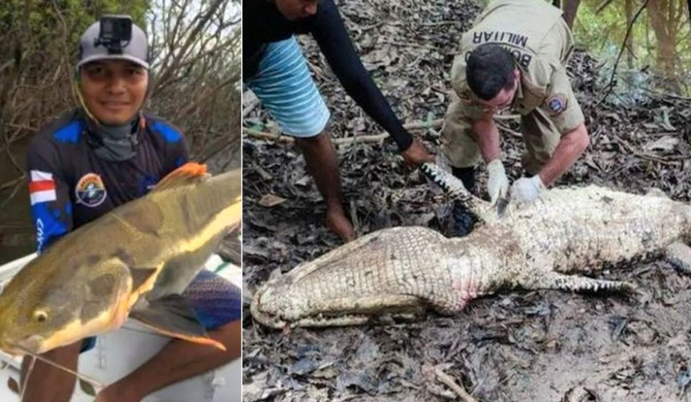 Surpriza terifiantă din burta unui crocodil brazilian. Descoperirea a ajutat la elucidarea unui atac al piraților
