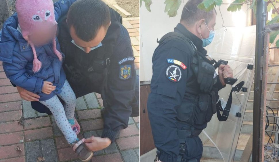 Doi bunici şi nepoata lor, atacaţi de un câine de luptă în curtea casei, în Arad