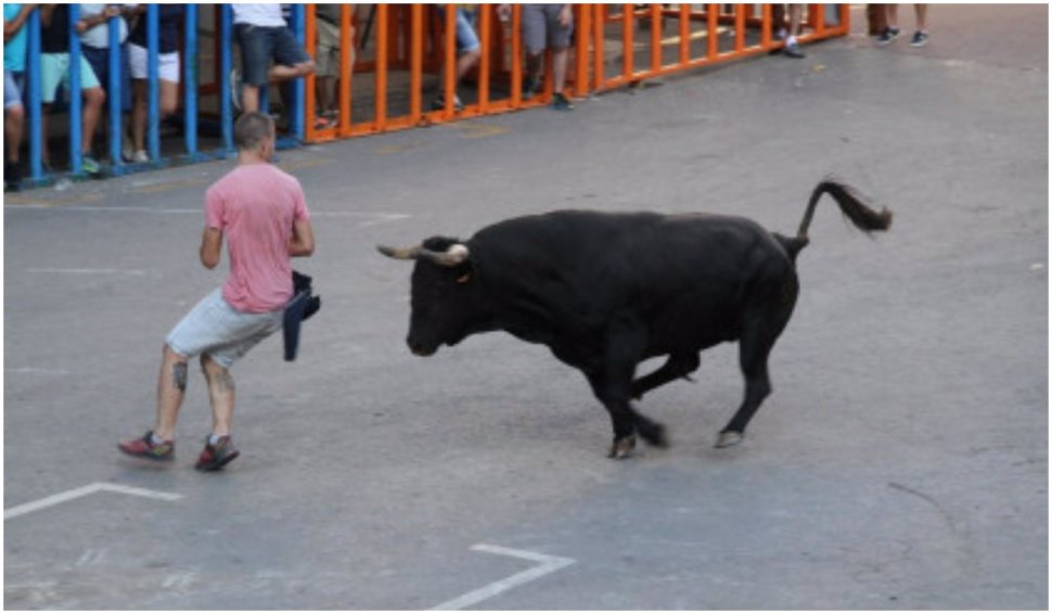 Un bărbat a fost ucis de un taur, iar alți doi au fost răniți, în timpul spectacolelor tradiționale din Spania
