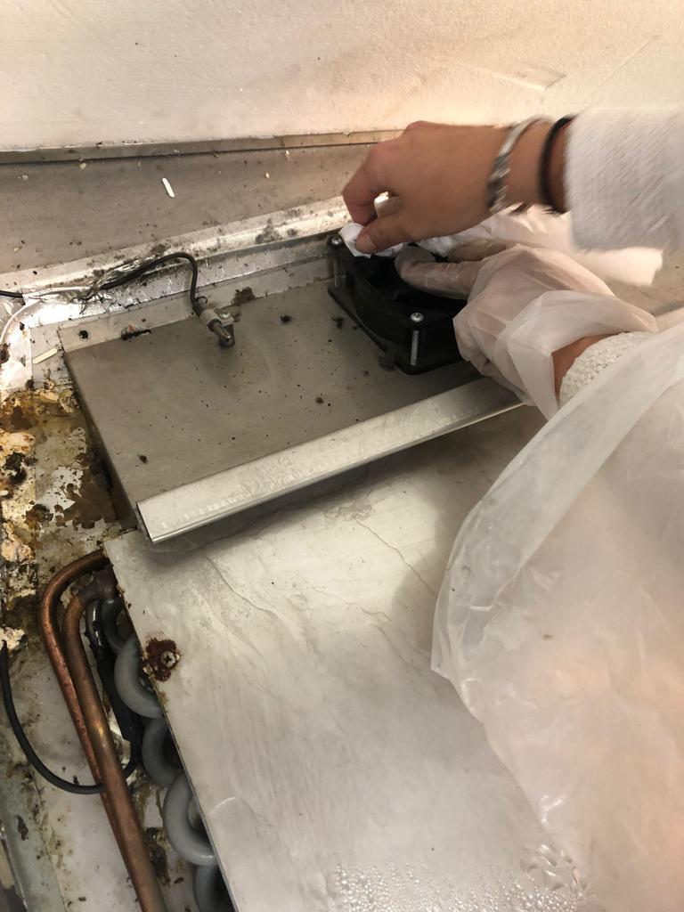 ANPC cere închiderea temporară a 4 magazine Mega Image din București. Gândaci în zona de patiserie, alimente cu mucegai, vitrine ruginite şi resturi alimentare 734095