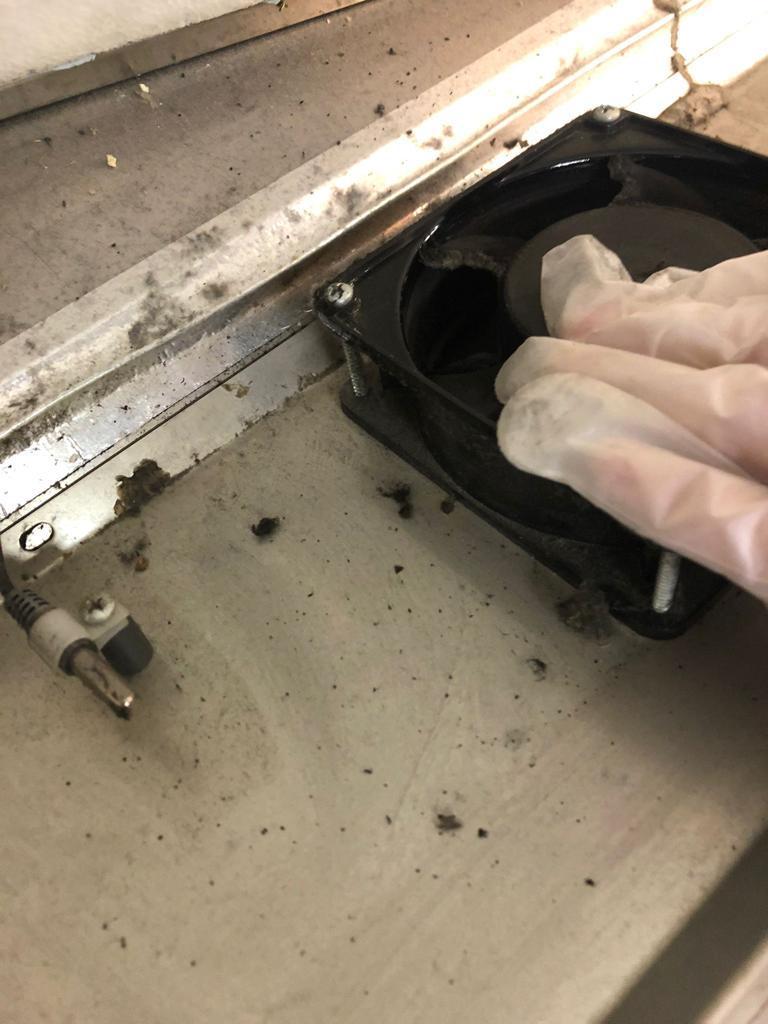 ANPC cere închiderea temporară a 4 magazine Mega Image din București. Gândaci în zona de patiserie, alimente cu mucegai, vitrine ruginite şi resturi alimentare 734097