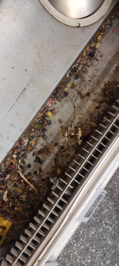 Gândaci și vitrine deteriorate într-o piață din Ploiești. Activitatea a 5 firme, oprită de ANPC 734317