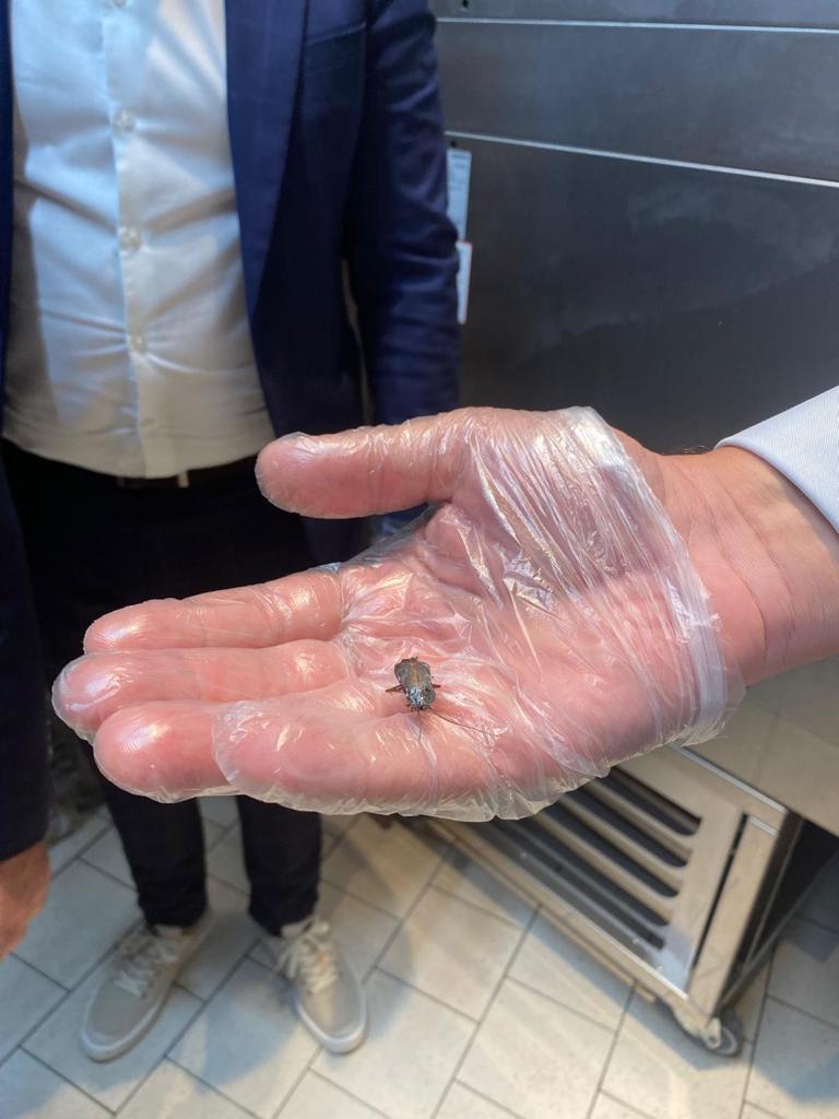 ANPC a închis temporar raioane ale supermarketurilor Carrefour, Lidl și Profi din Ploieşti. Mizerie, gândaci și marfă stricată 734415