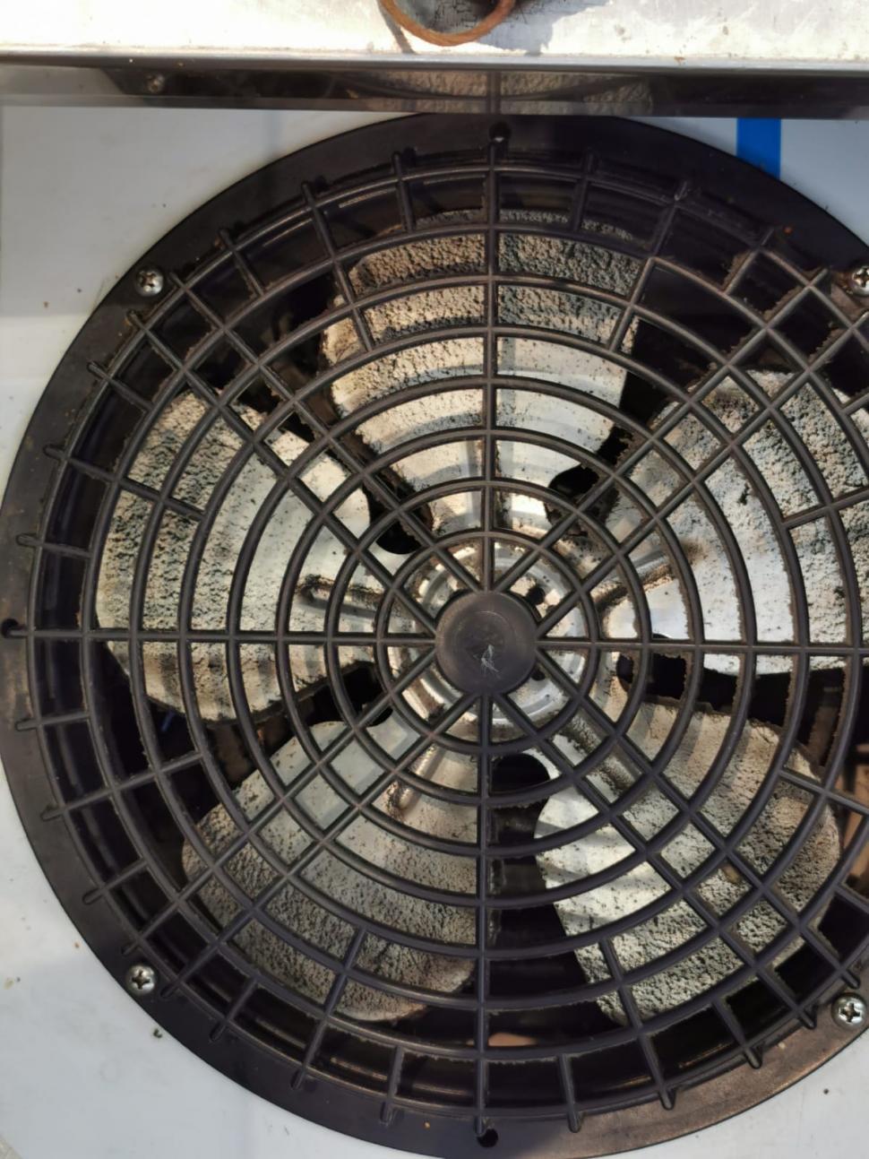 ANPC a închis temporar raioane ale supermarketurilor Carrefour, Lidl și Profi din Ploieşti. Mizerie, gândaci și marfă stricată 734419