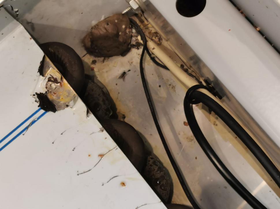 ANPC a închis temporar raioane ale supermarketurilor Carrefour, Lidl și Profi din Ploieşti. Mizerie, gândaci și marfă stricată 734421