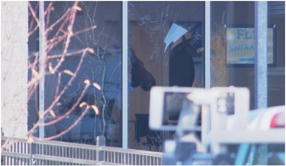 Un elan a intrat prin efracție într-o școală din Canada 734570