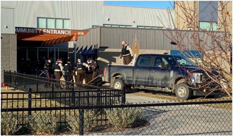 Un elan a intrat prin efracție într-o școală din Canada 734571