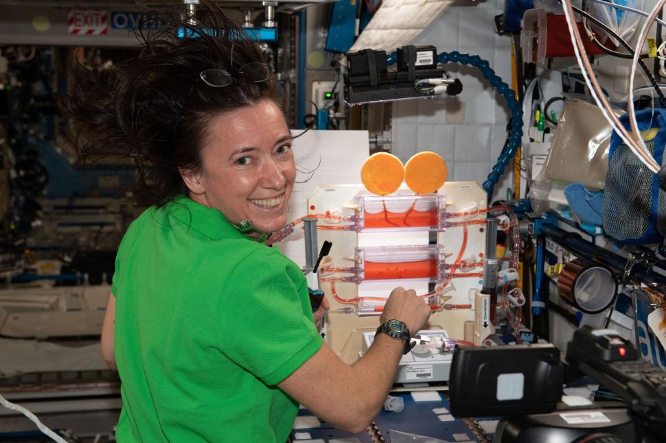 Declarație de ultimă oră a astronauților care revin pe Pământ la bordul capsulei cu wc-ul defect. În prealabil, au mâncat tacos 734757