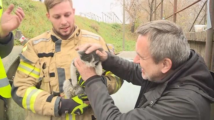 Motanul Rurek a sfidat destinul și a rămas în viață după 10 zile în care a fost strivit de o conductă în sistemul de termoficare 734744