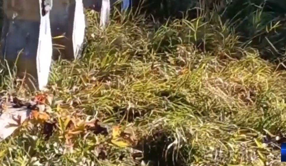 Teolog, strigăt de durere de la Cimitirul Eroilor din Sinaia: "Să ne iertați pentru batjocura pe care o aducem jertfei voastre, că am greșit punând trădătorii aştia să conducă ţara" 734762